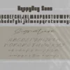 Happyday-06 (1) Happyday Script & Sans - Font Duo