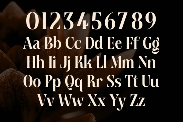 Lissandra Claire A Cinematic Serif