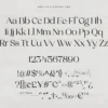 Angela - A Timeless & Elegant Serif
