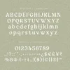 Rusty Love - Retro Vintage Charm Font