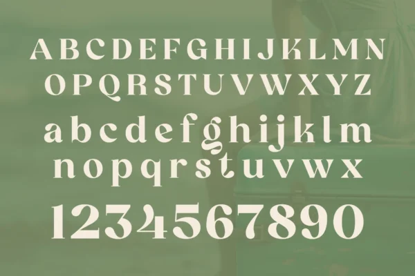 Retrofly A Retro Serif Font