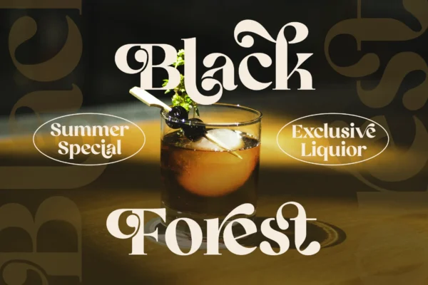 Retrofly A Retro Serif Font