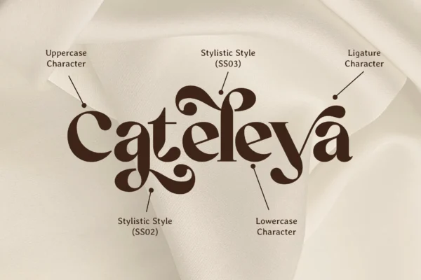 Retrofly A Retro Serif Font