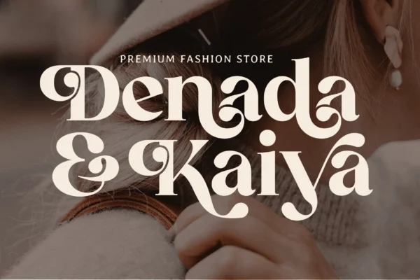 Retrofly A Retro Serif Font