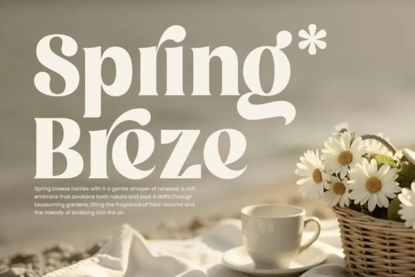 Mellow Spirit - Modern Retro Font